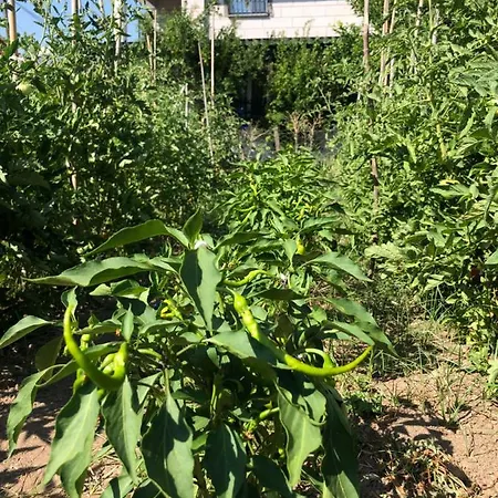 Aparthotel Sun Gümüldür